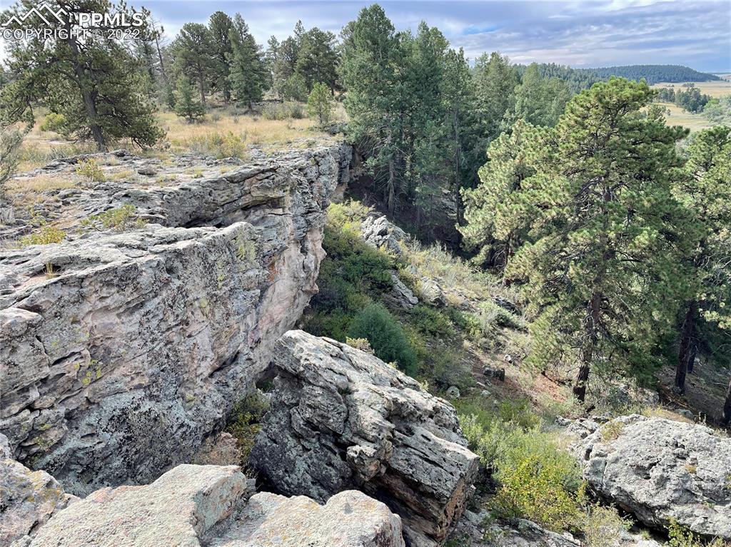 Undisclosed Address Elbert, CO 80106 - Photo 24 of 37 a view of a yard with plants and a bench