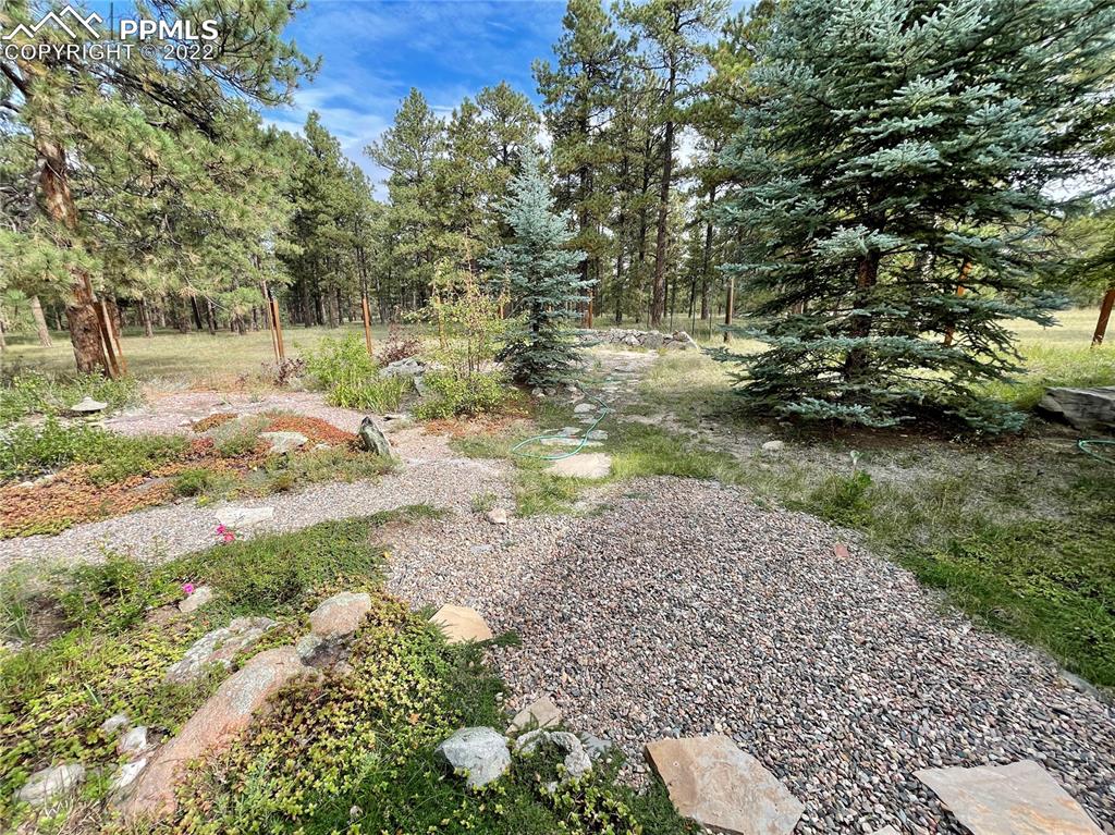 Undisclosed Address Elbert, CO 80106 - Photo 29 of 37 a backyard of a house with a yard and outdoor seating
