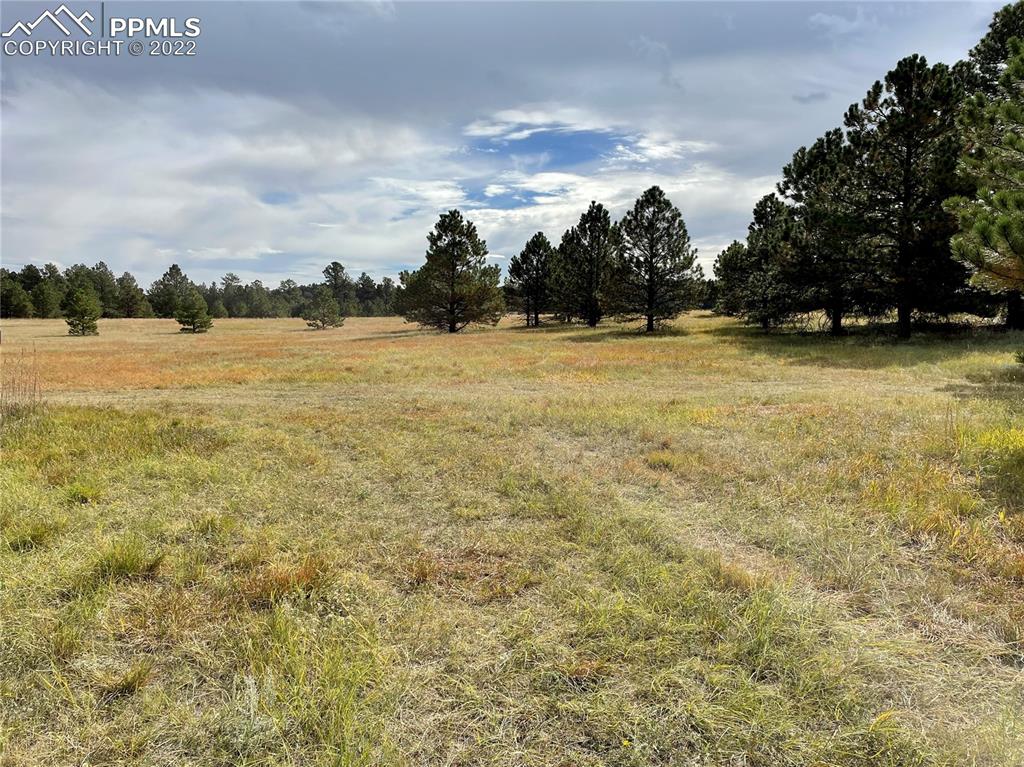 Undisclosed Address Elbert, CO 80106 - Photo 32 of 37