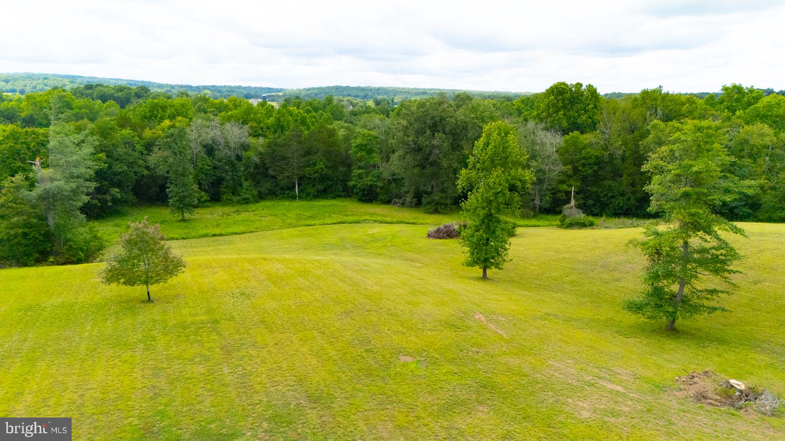 6542 Pine Stake Road Culpeper, VA 22701 - Photo 60 of 113 Lush green landscape with serene trees.