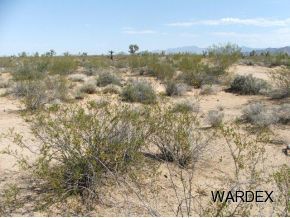 2571 South Wyatt Earp Road Yucca, AZ 86438 - Photo 12 of 12 Additional Photo