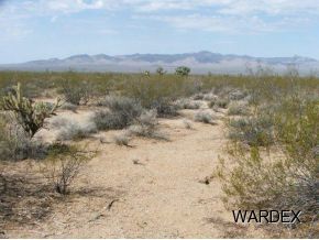 2571 South Wyatt Earp Road Yucca, AZ 86438 - Photo 2 of 12 Additional Photo