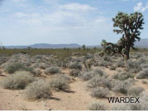 2571 South Wyatt Earp Road Yucca, AZ 86438 - Photo 3 of 12 Additional Photo