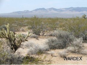 2571 South Wyatt Earp Road Yucca, AZ 86438 - Photo 4 of 12 Additional Photo