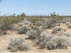2571 South Wyatt Earp Road Yucca, AZ 86438 - Photo 5 of 12 Additional Photo