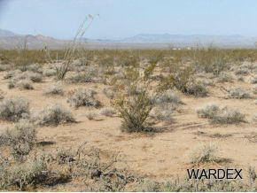2571 South Wyatt Earp Road Yucca, AZ 86438 - Photo 6 of 12 Additional Photo