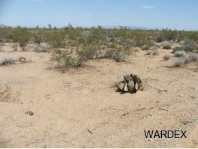 2571 South Wyatt Earp Road Yucca, AZ 86438 - Photo 7 of 12 Additional Photo