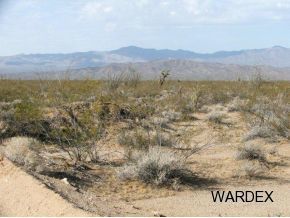 2571 South Wyatt Earp Road Yucca, AZ 86438 - Photo 9 of 12 Additional Photo