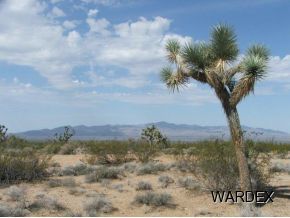 2571 South Wyatt Earp Road Yucca, AZ 86438 - Photo 10 of 12 Additional Photo