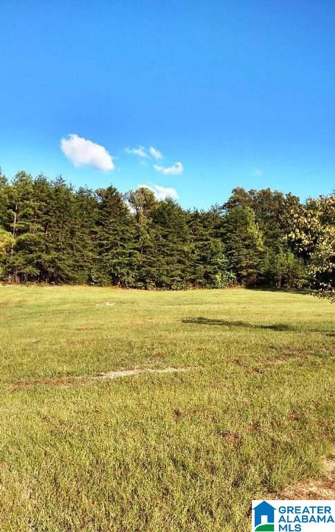 5730 Rockdale Road Bessemer, AL 35022 - Photo 10 of 12