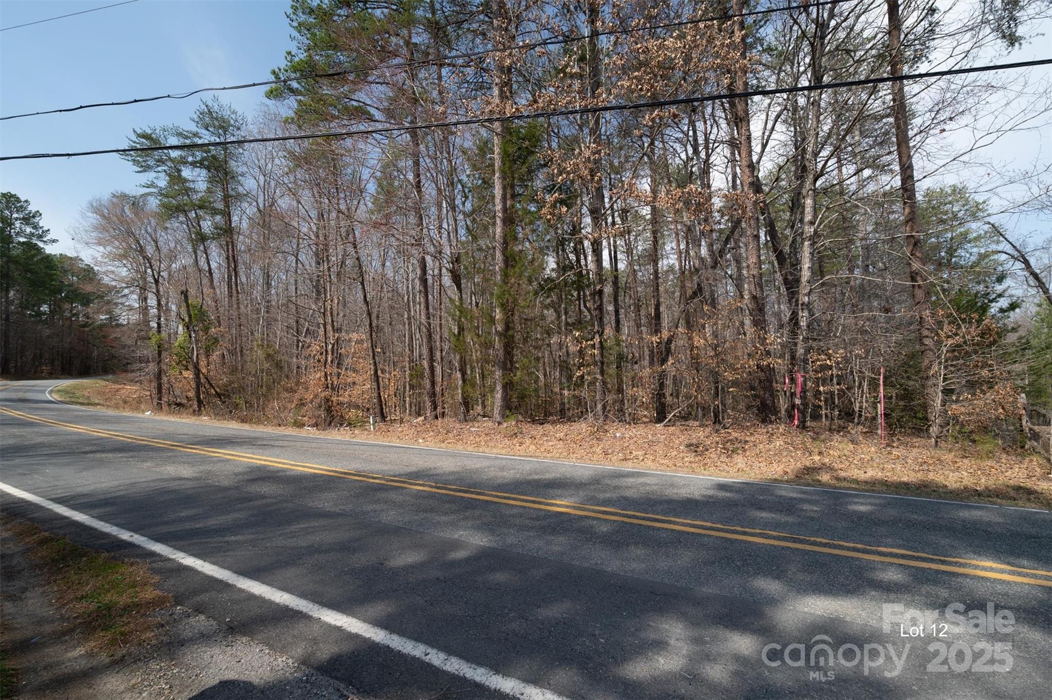 0 Forney Hill Road, Unit 12 Denver, NC 28037 - Photo 3 of 9 Gallery Image 3