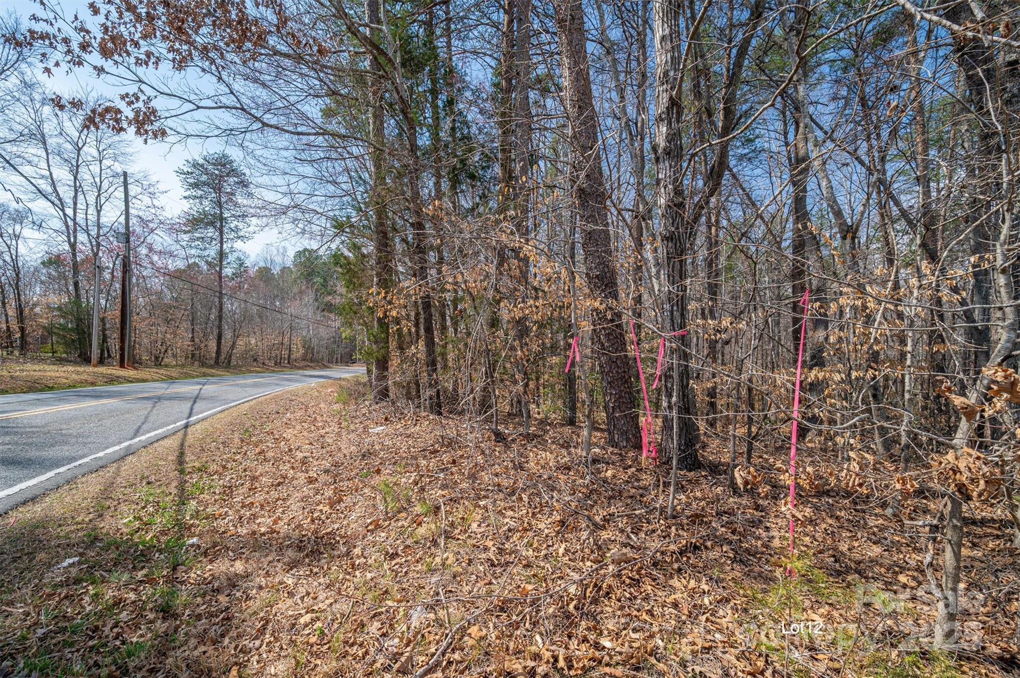 0 Forney Hill Road, Unit 12 Denver, NC 28037 - Photo 4 of 9 Gallery Image 4