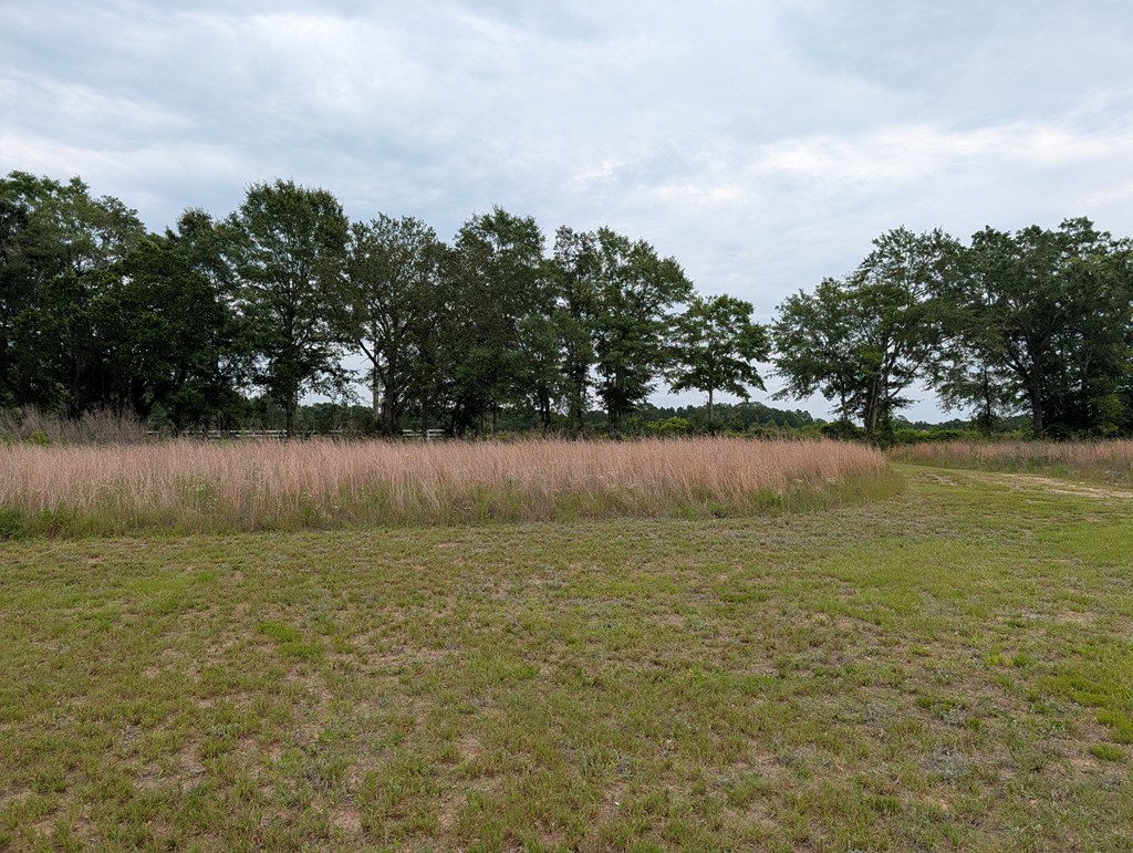 325 Day Road Ashford, AL 36312 - Photo 20 of 21