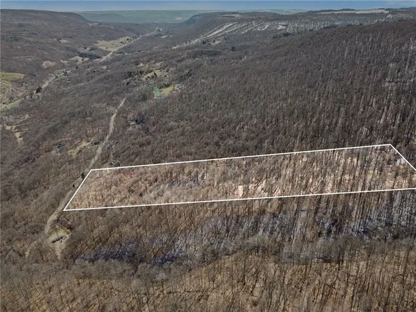 $95,000 | 7420 Feather Street, Springwater, NY 14512