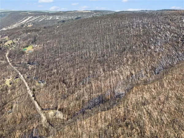 $95,000 | 7420 Feather Street, Springwater, NY 14512