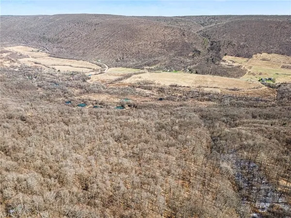 $95,000 | 7420 Feather Street, Springwater, NY 14512