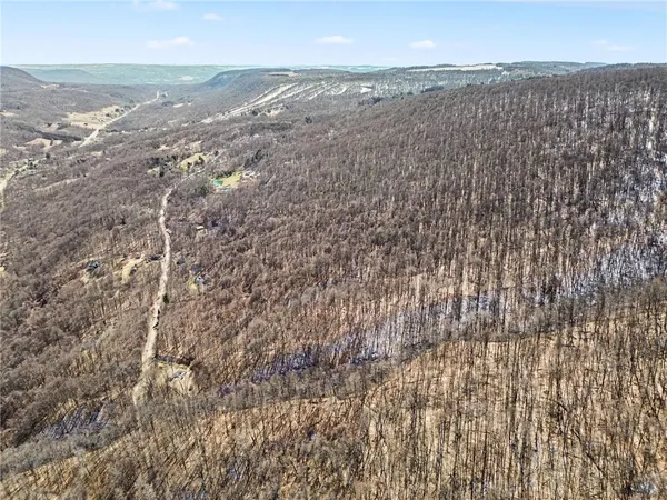 $95,000 | 7420 Feather Street, Springwater, NY 14512