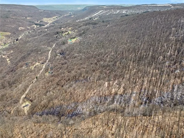 $95,000 | 7420 Feather Street, Springwater, NY 14512