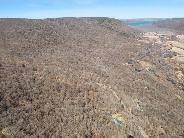 $95,000 | 7420 Feather Street, Springwater, NY 14512