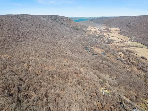 $95,000 | 7420 Feather Street, Springwater, NY 14512