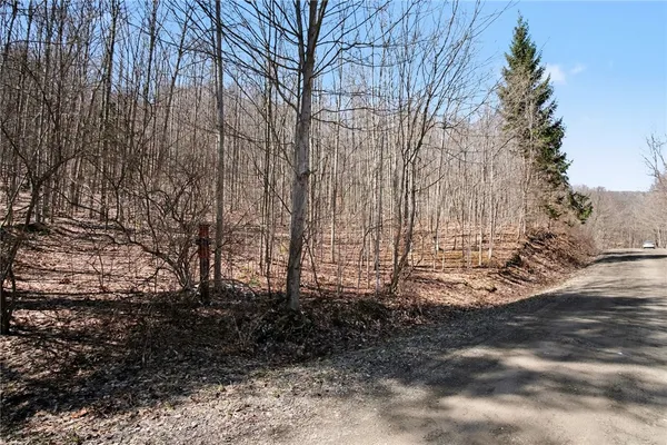 $95,000 | 7420 Feather Street, Springwater, NY 14512