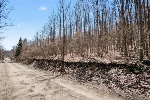 $95,000 | 7420 Feather Street, Springwater, NY 14512