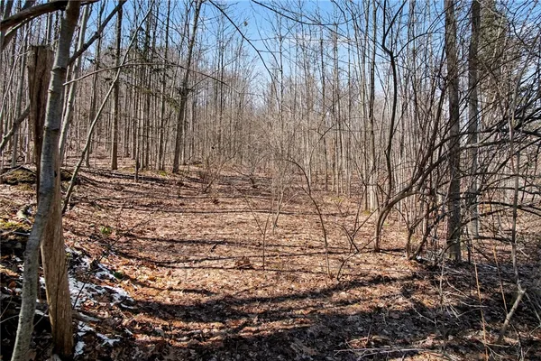 $95,000 | 7420 Feather Street, Springwater, NY 14512