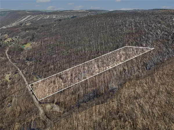 $95,000 | 7420 Feather Street, Springwater, NY 14512