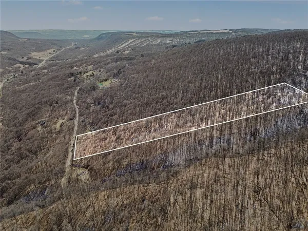 $95,000 | 7420 Feather Street, Springwater, NY 14512