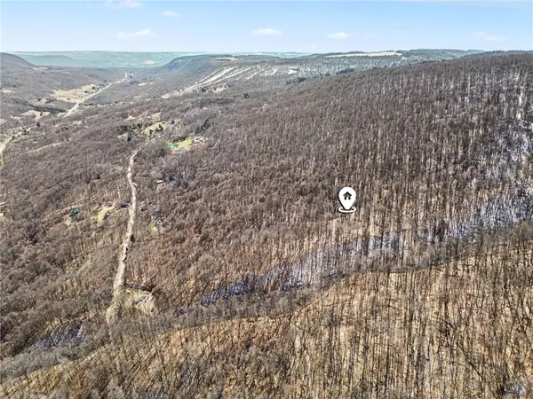 $95,000 | 7420 Feather Street, Springwater, NY 14512