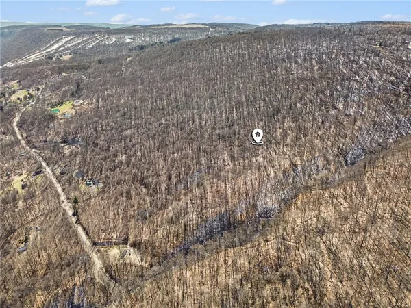 $95,000 | 7420 Feather Street, Springwater, NY 14512