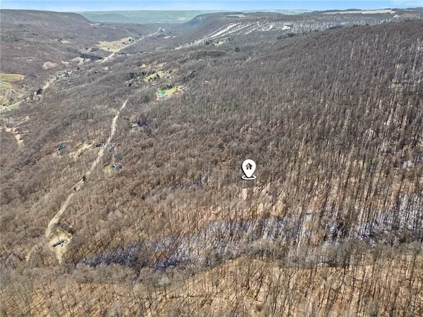 $95,000 | 7420 Feather Street, Springwater, NY 14512