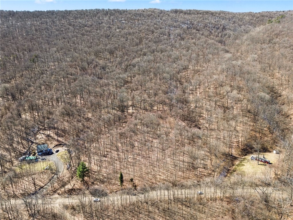 7420 Feather Street Springwater, NY 14512 - Photo 10 of 19