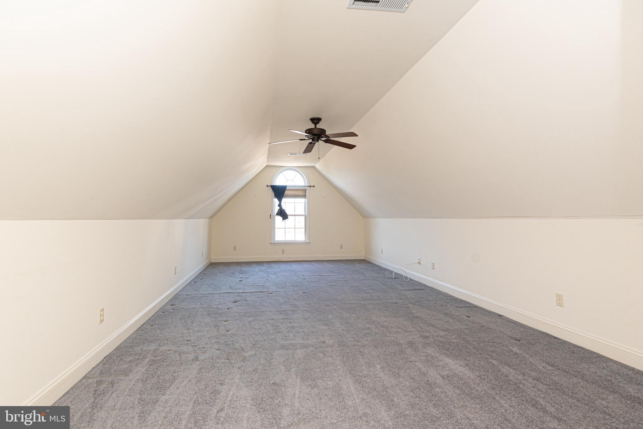 6023 Tarry Town Road Salisbury, MD 21801 - Photo 34 of 61 Spacious attic with vaulted ceilings.