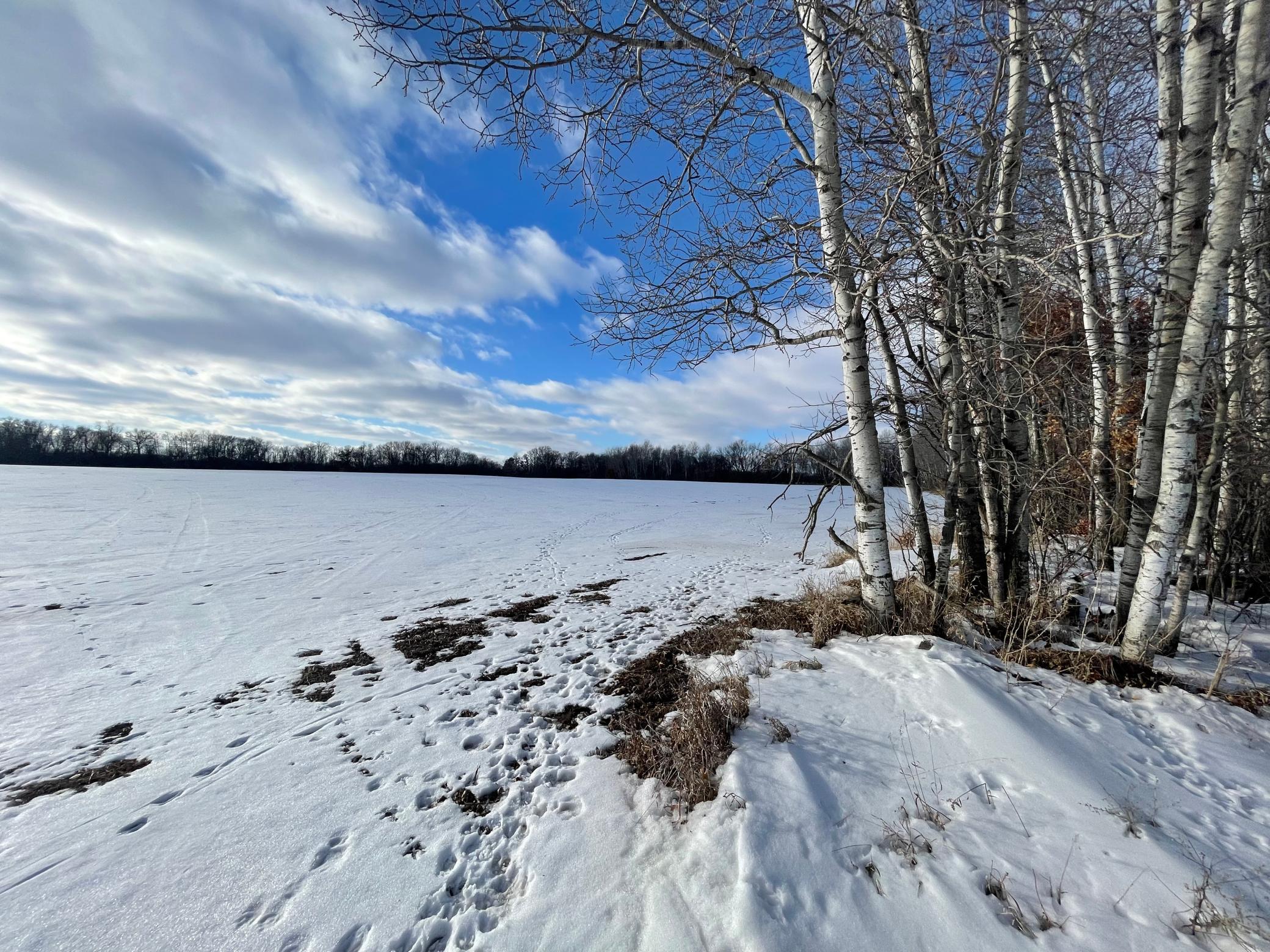 Xxx 115th Avenue Milaca, MN 56353 - Photo 3 of 8