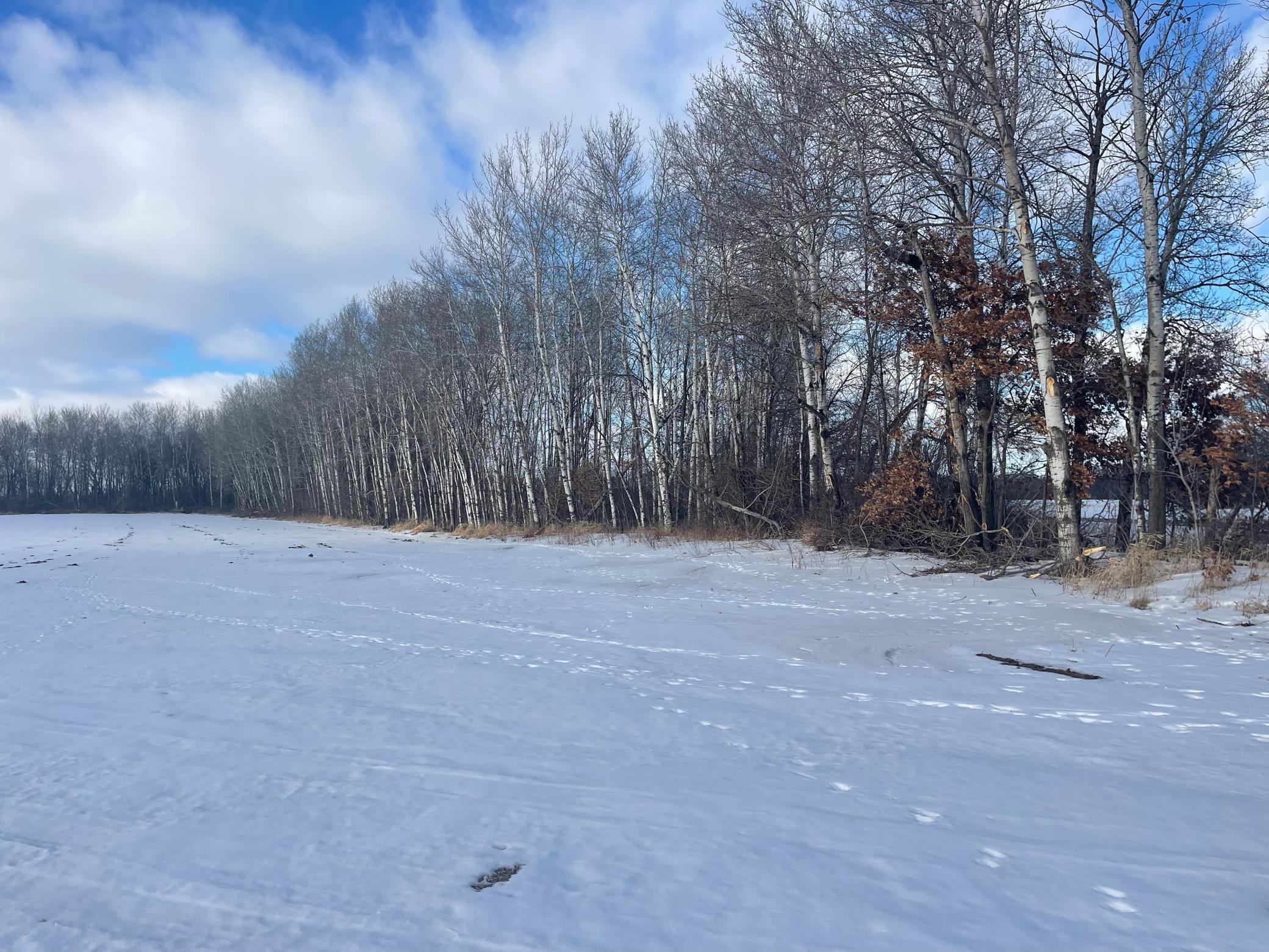 Xxx 115th Avenue Milaca, MN 56353 - Photo 5 of 8