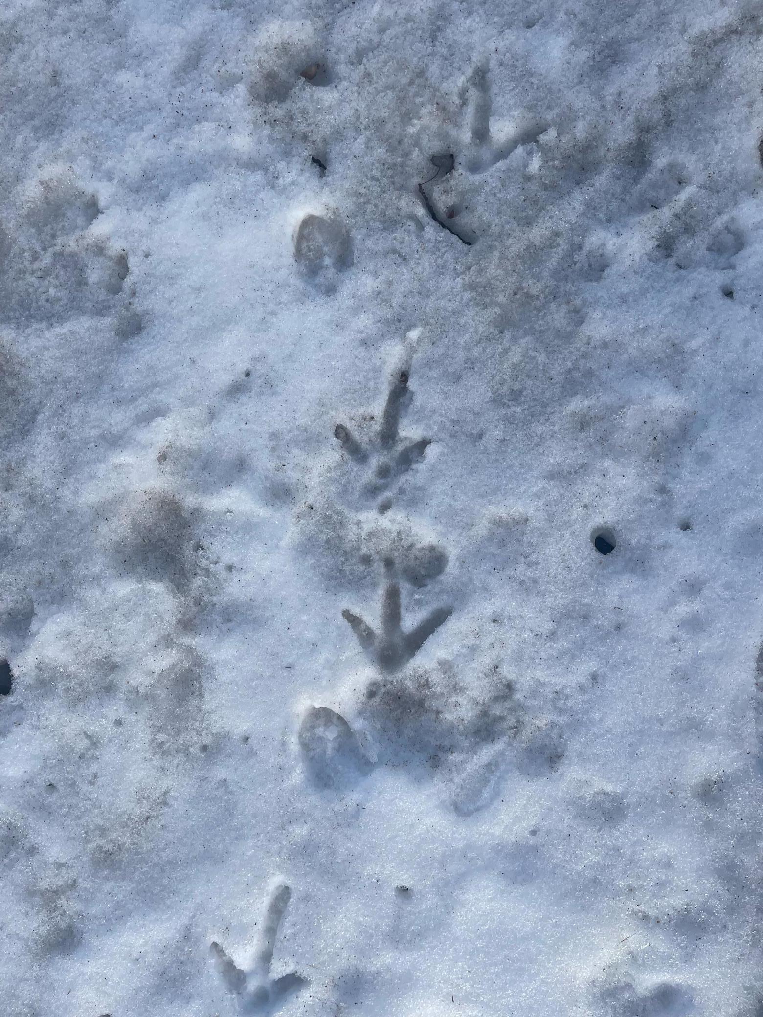 Xxx 115th Avenue Milaca, MN 56353 - Photo 6 of 8