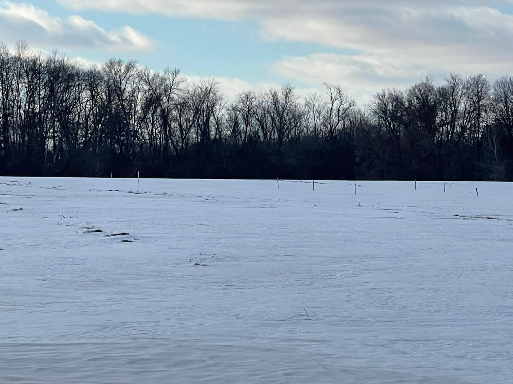 Xxx 115th Avenue Milaca, MN 56353 - Photo 7 of 8