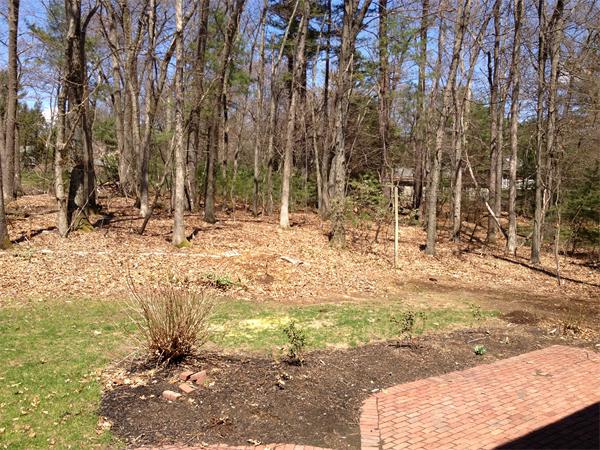 5 Cameron Road Andover, MA 01810 - Photo 19 of 20