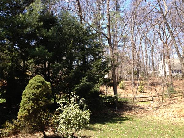 5 Cameron Road Andover, MA 01810 - Photo 20 of 20