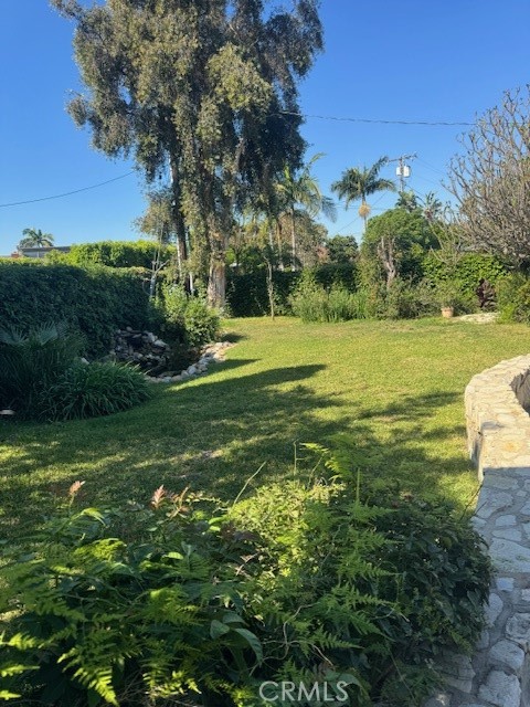 1200 West Rowan Street Anaheim, CA 92801 - Photo 3 of 20 a view of a grassy field with an trees