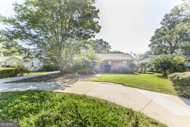 a view of a yard with plants and trees