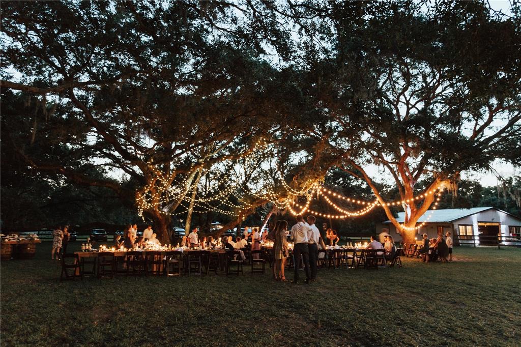 5310 Jim Davis Road Parrish, FL 34219 - Photo 63 of 88