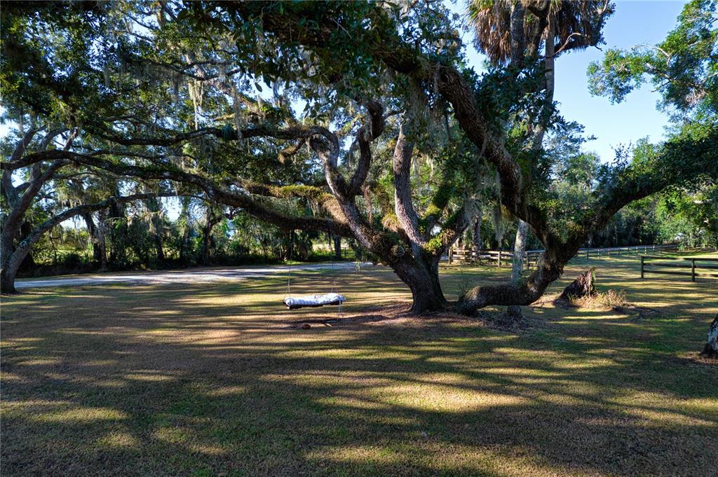 5310 Jim Davis Road Parrish, FL 34219 - Photo 64 of 88