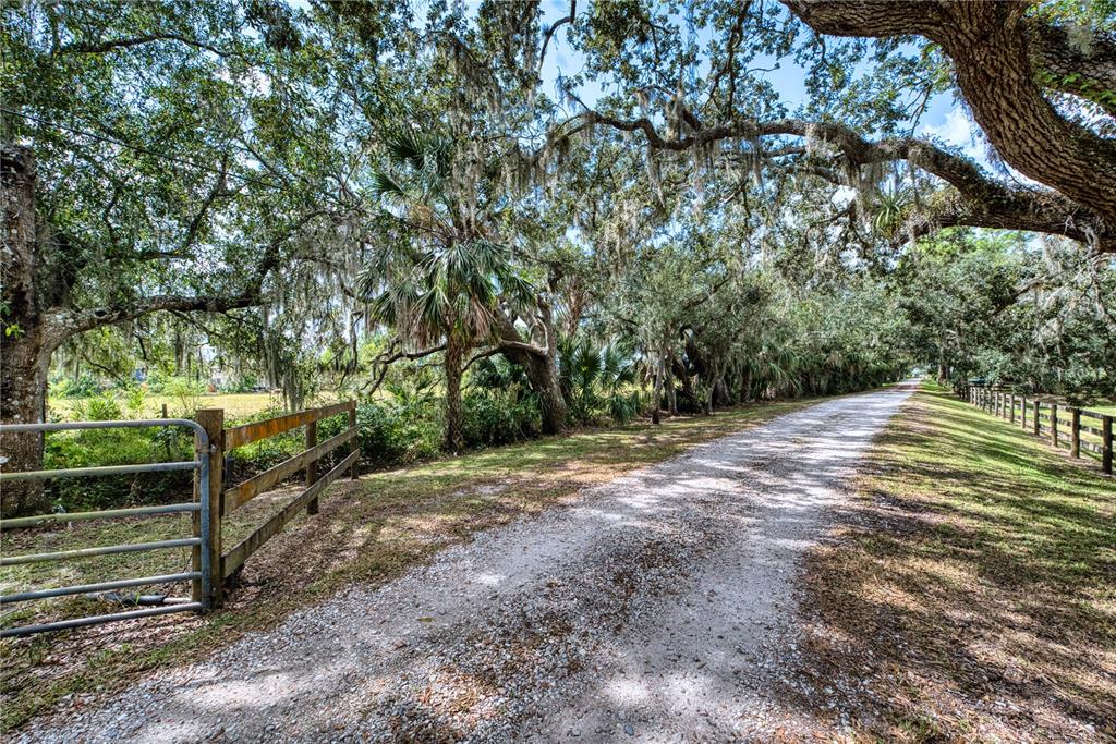 5310 Jim Davis Road Parrish, FL 34219 - Photo 83 of 88