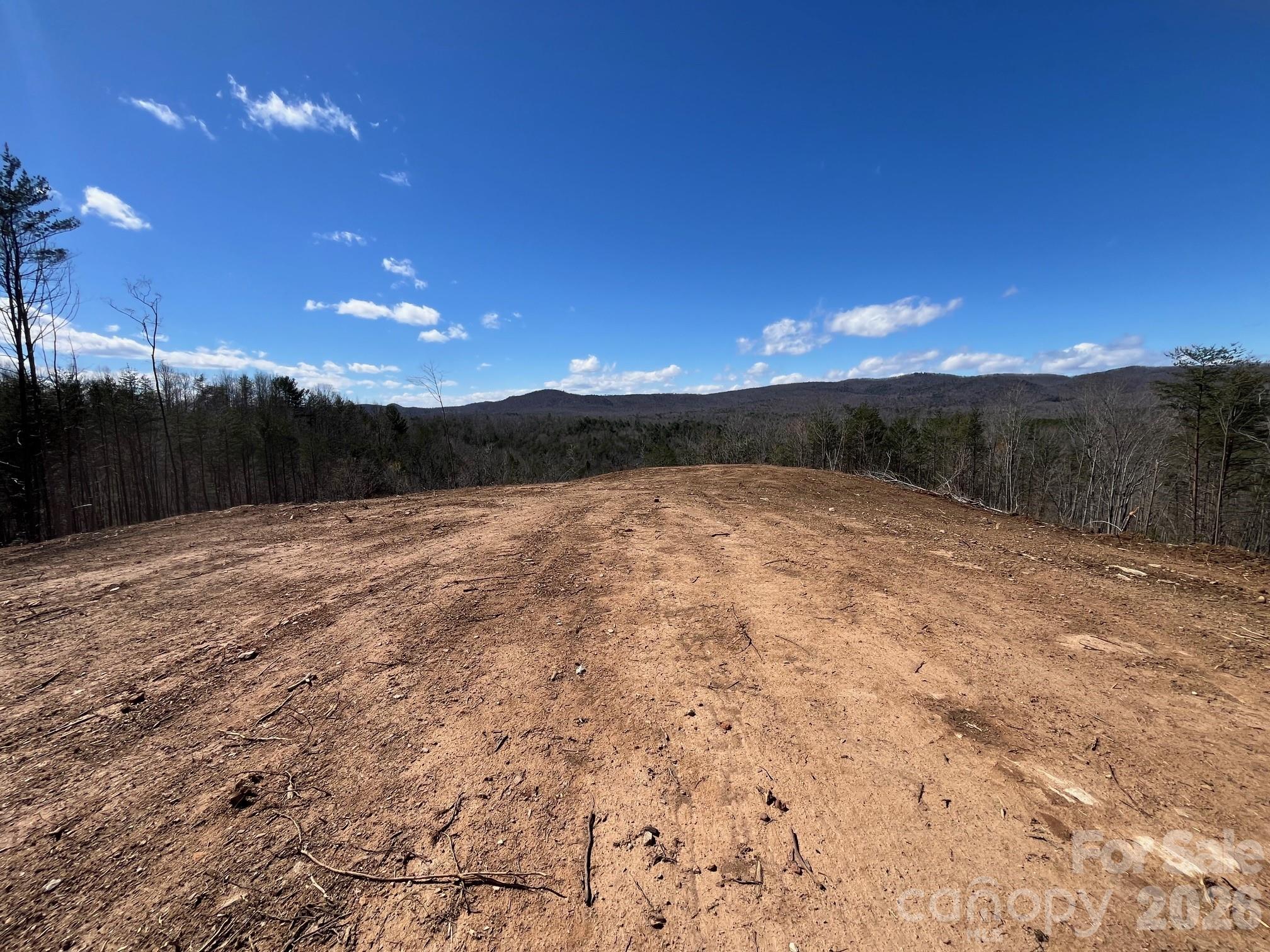 V/l Vein Mountain Road Nebo, NC 28761 - Photo 11 of 17