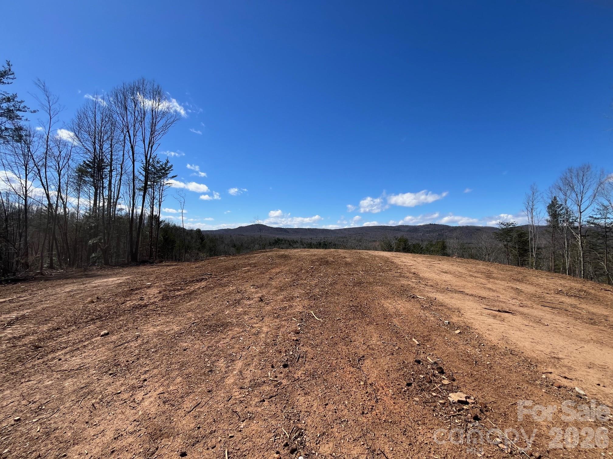 V/l Vein Mountain Road Nebo, NC 28761 - Photo 12 of 17