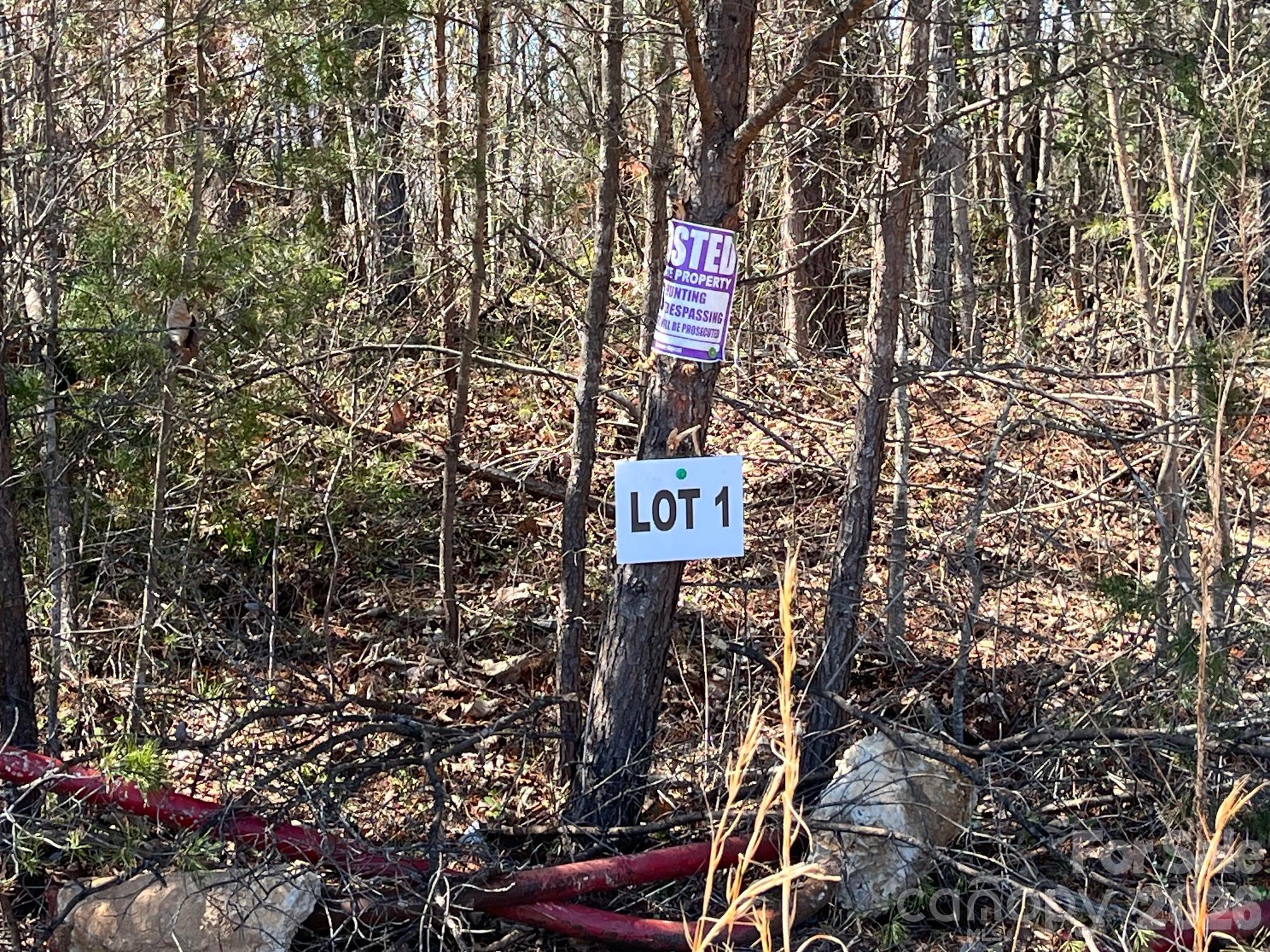 V/l Vein Mountain Road Nebo, NC 28761 - Photo 16 of 17