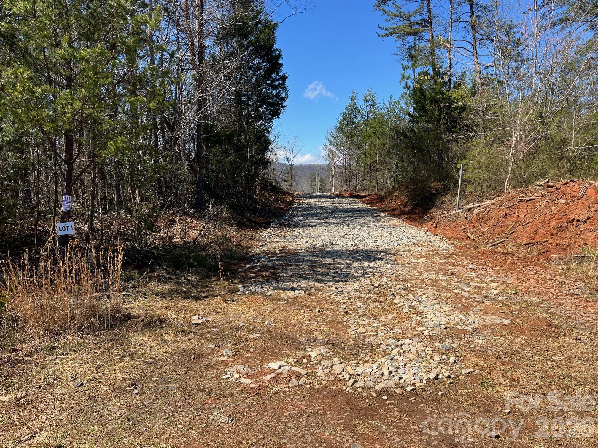 V/l Vein Mountain Road Nebo, NC 28761 - Photo 2 of 17