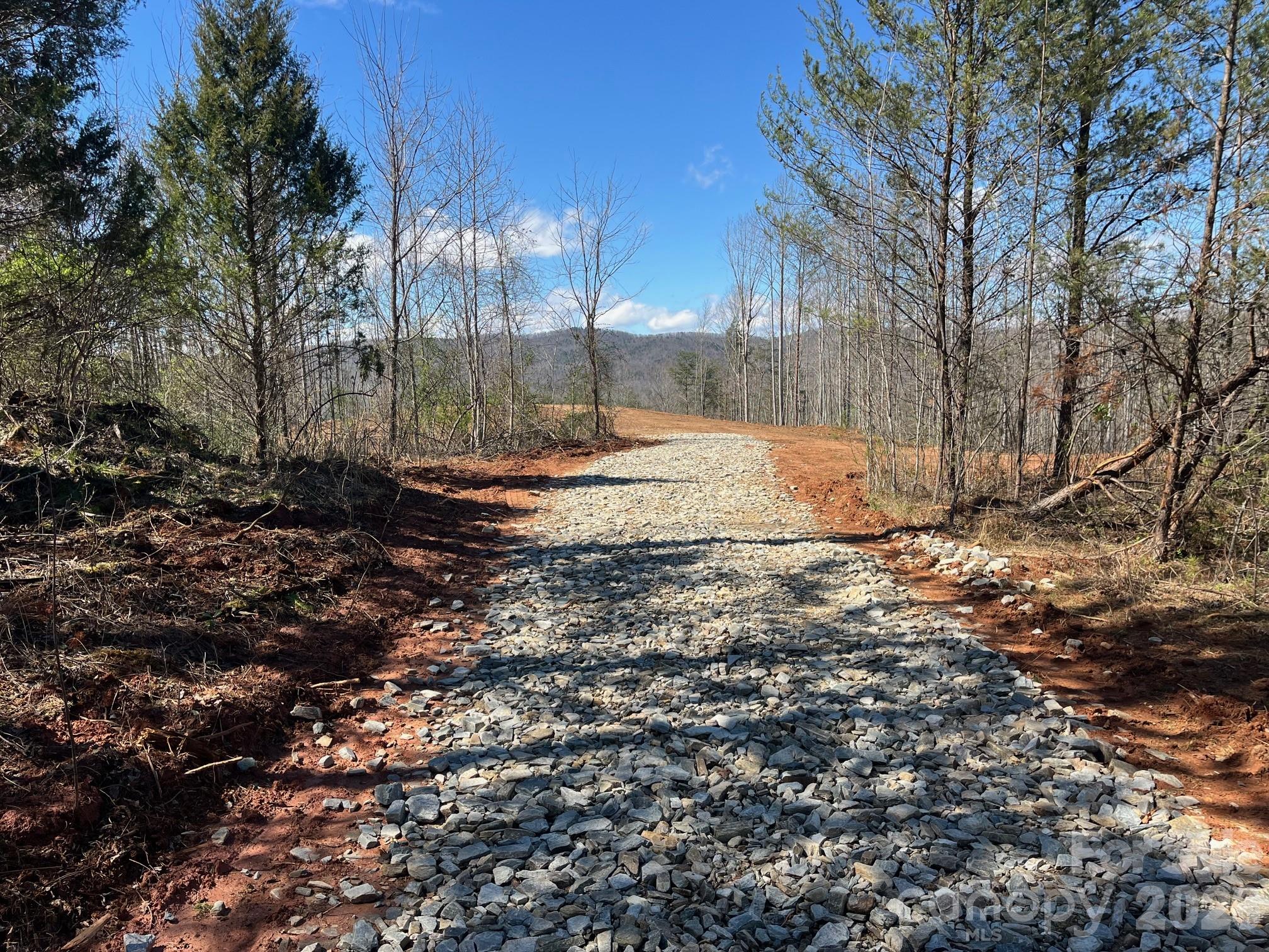 V/l Vein Mountain Road Nebo, NC 28761 - Photo 3 of 17